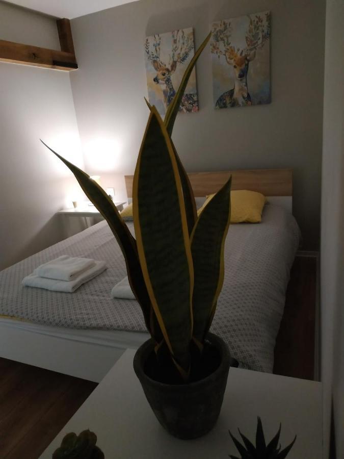 Apartmán Bouchon Pour 4 Avenue De Champagne A 3 Minutes Épernay Exteriér fotografie